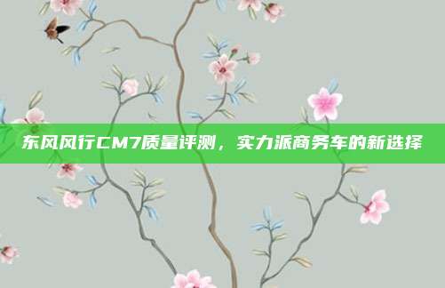 东风风行CM7质量评测,实力派商务车的新选择