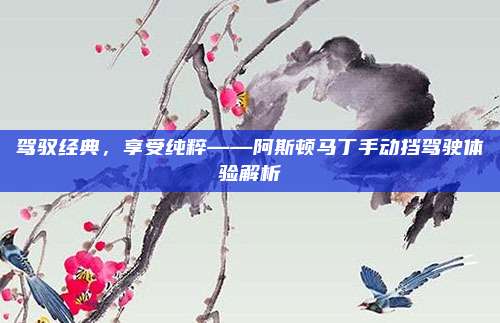 驾驭经典,享受纯粹——阿斯顿马丁手动挡驾驶体验解析