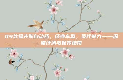 09款福克斯自动挡,经典车型,现代魅力——深度评测与保养指南