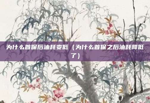 为什么首保后油耗变低（为什么首保之后油耗降低了）