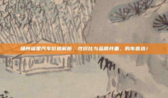 扬州福星汽车价格解析,性价比与品质并重,购车首选!