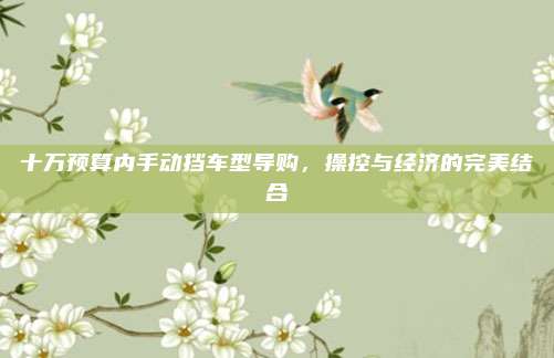 十万预算内手动挡车型导购,操控与经济的完美结合