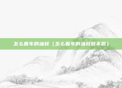 怎么看车的油耗（怎么看车的油耗低不低）