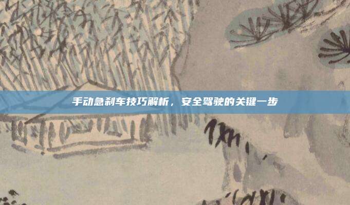 手动急刹车技巧解析,安全驾驶的关键一步
