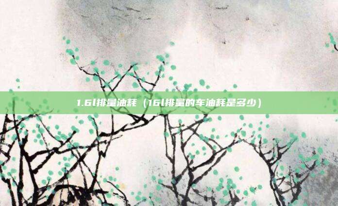 1.6l排量油耗(16l排量的车油耗是多少)