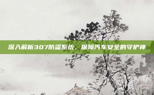 深入解析307防盗系统,保障汽车安全的守护神