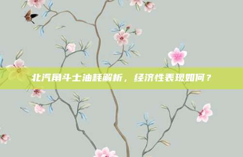 北汽角斗士油耗解析,经济性表现如何?