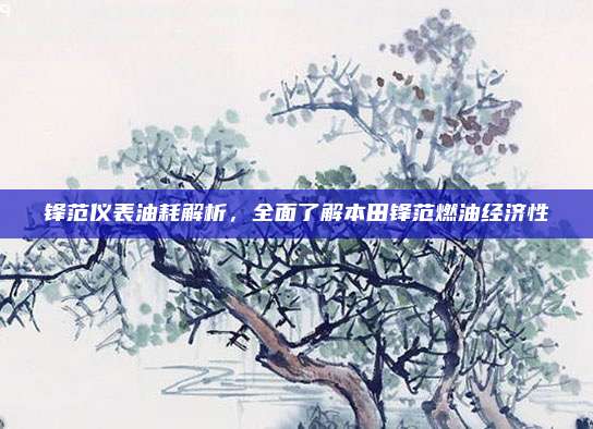 锋范仪表油耗解析,全面了解本田锋范燃油经济性