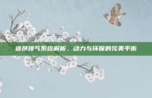 途昂排气系统解析,动力与环保的完美平衡