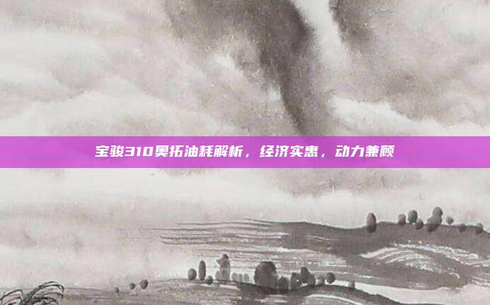 宝骏310奥拓油耗解析,经济实惠,动力兼顾