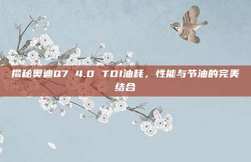 揭秘奥迪Q7 4.0 TDI油耗,性能与节油的完美结合