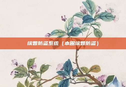 缤智防盗系统（本田缤智防盗）