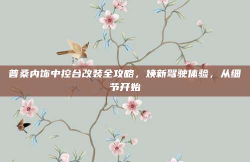 普桑内饰中控台改装全攻略,焕新驾驶体验,从细节开始