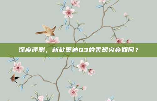 深度评测,新款奥迪Q3的表现究竟如何?