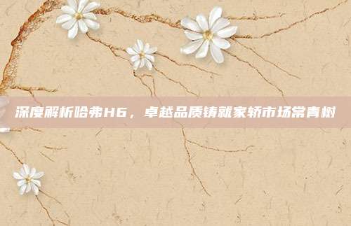 深度解析哈弗H6,卓越品质铸就家轿市场常青树