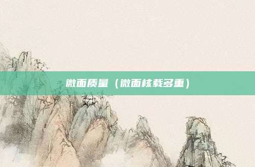 微面质量(微面核载多重)