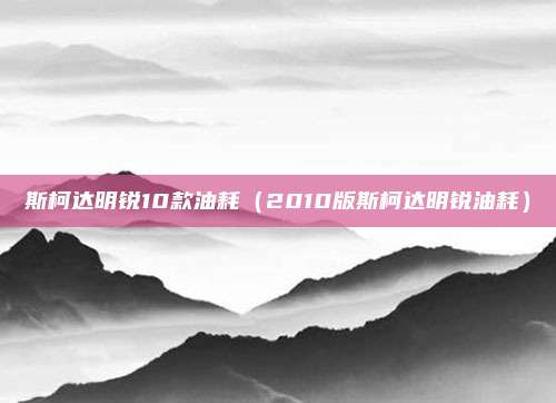 斯柯达明锐10款油耗（2010版斯柯达明锐油耗）