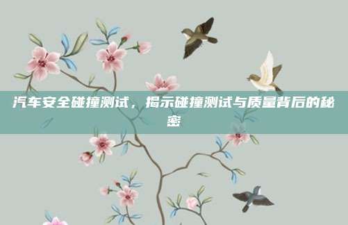 汽车安全碰撞测试,揭示碰撞测试与质量背后的秘密