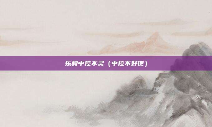 乐骋中控不灵（中控不好使）