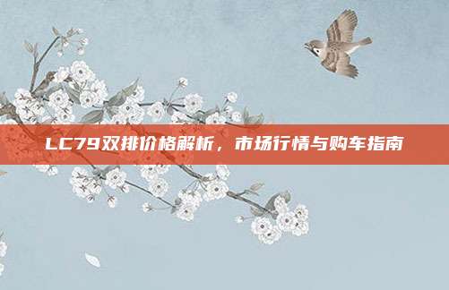 LC79双排价格解析，市场行情与购车指南