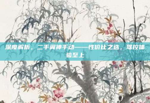 深度解析,二手翼神手动——性价比之选,驾控体验至上