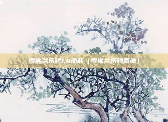 雪佛兰乐骋1.4油耗（雪佛兰乐骋费油）