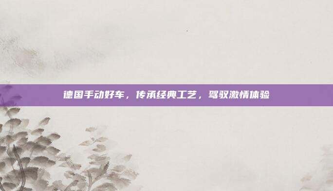 德国手动好车，传承经典工艺，驾驭激情体验