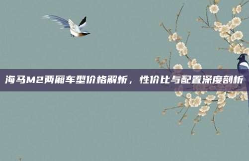 海马M2两厢车型价格解析,性价比与配置深度剖析