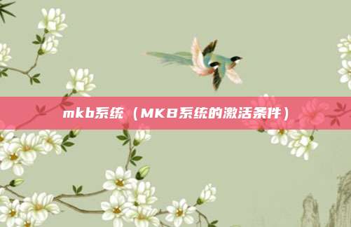 mkb系统（MKB系统的激活条件）