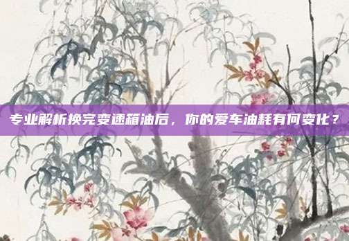 专业解析换完变速箱油后，你的爱车油耗有何变化？