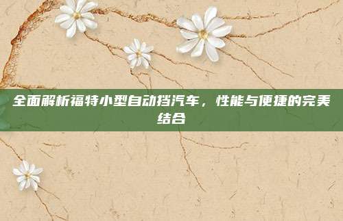 全面解析福特小型自动挡汽车,性能与便捷的完美结合