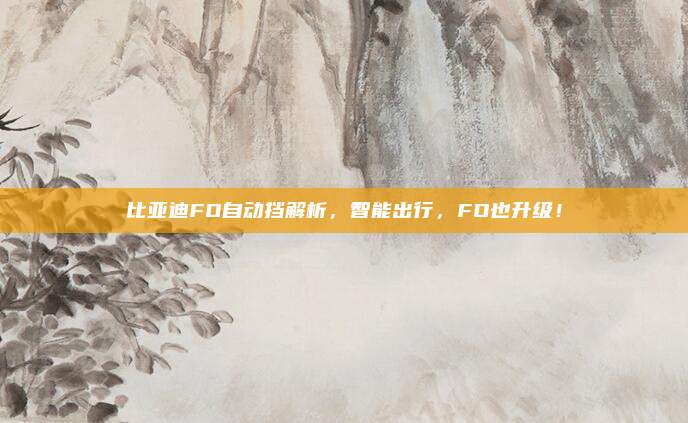 比亚迪FO自动挡解析,智能出行,FO也升级!