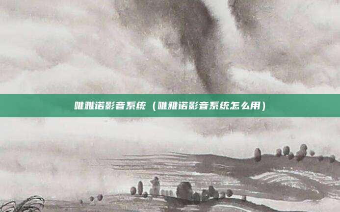 唯雅诺影音系统（唯雅诺影音系统怎么用）