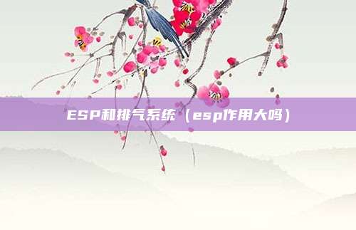 ESP和排气系统（esp作用大吗）