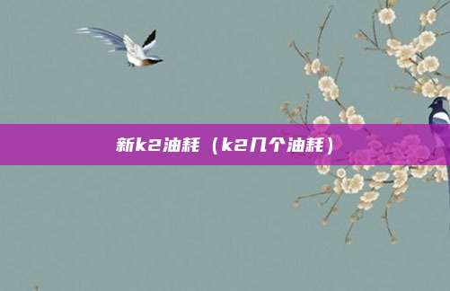 新k2油耗（k2几个油耗）