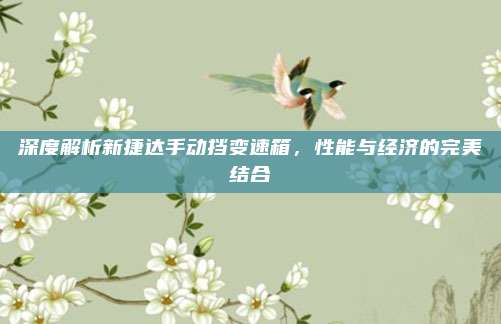 深度解析新捷达手动挡变速箱,性能与经济的完美结合