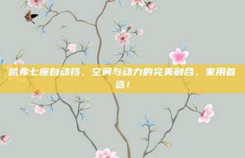 哈弗七座自动挡,空间与动力的完美融合,家用首选!