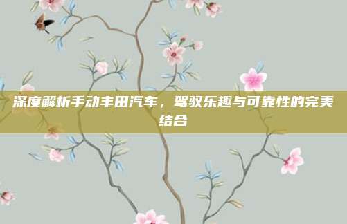 深度解析手动丰田汽车,驾驭乐趣与可靠性的完美结合