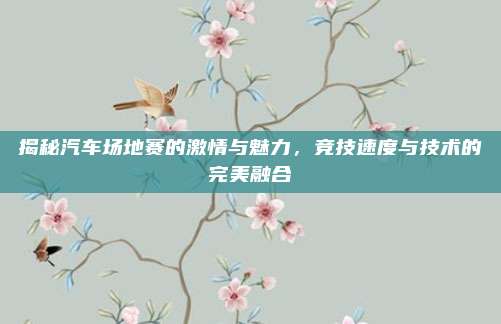 揭秘汽车场地赛的激情与魅力,竞技速度与技术的完美融合