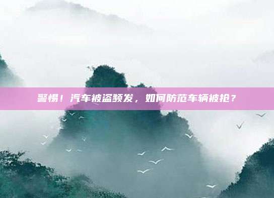 警惕!汽车被盗频发,如何防范车辆被抢?