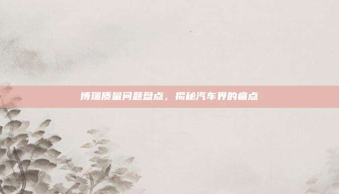 博瑞质量问题盘点,揭秘汽车界的痛点