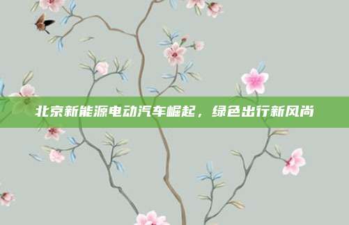 北京新能源电动汽车崛起,绿色出行新风尚