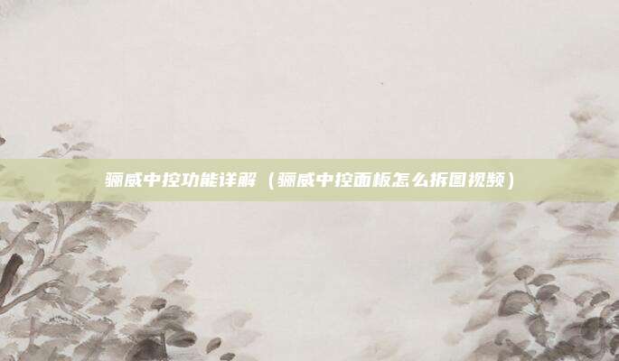 骊威中控功能详解（骊威中控面板怎么拆图视频）