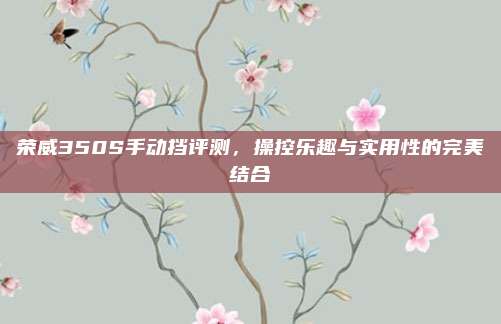 荣威350S手动挡评测,操控乐趣与实用性的完美结合
