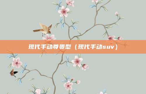 现代手动尊贵型（现代手动suv）