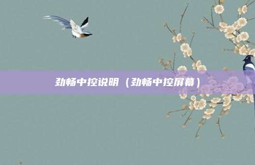 劲畅中控说明（劲畅中控屏幕）