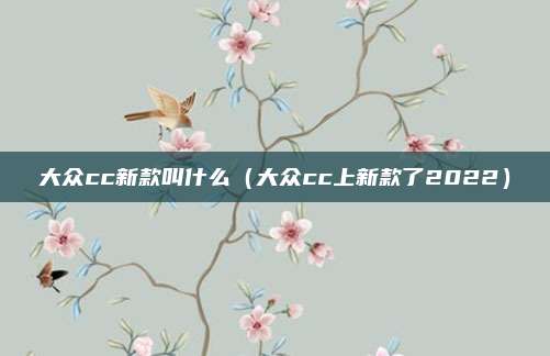 大众cc新款叫什么（大众cc上新款了2022）