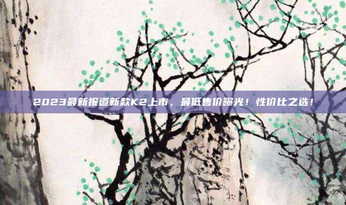 2023最新报道新款K2上市,最低售价曝光!性价比之选!