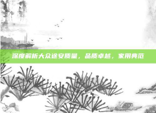 深度解析大众途安质量,品质卓越,家用典范
