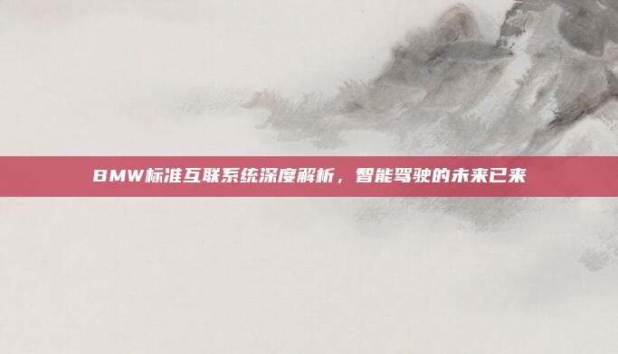 BMW标准互联系统深度解析，智能驾驶的未来已来